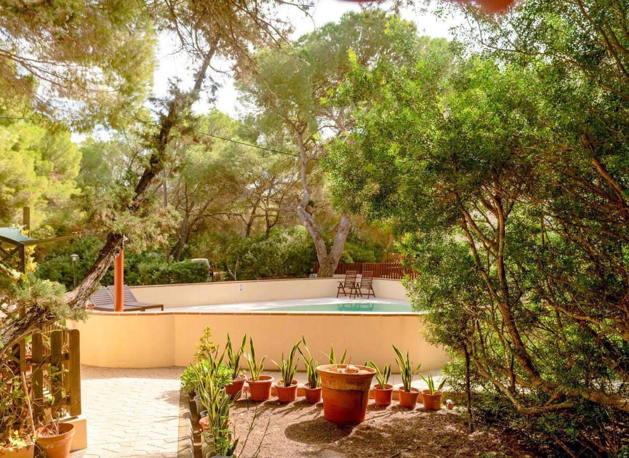 אס קאלו Apartamentos El Pino - Formentera Break מראה חיצוני תמונה